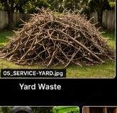 Yard waste branches and brush ready for pickup